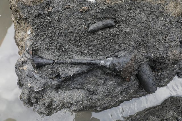 김해 봉황동 유적 출토 옻칠 두형 그릇 출토 모습 