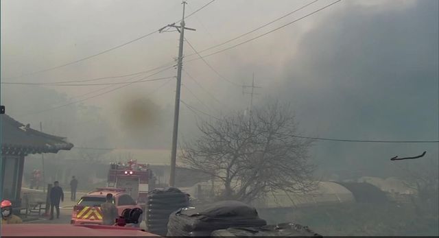 불이 난 고창군 성내면의 한 야산