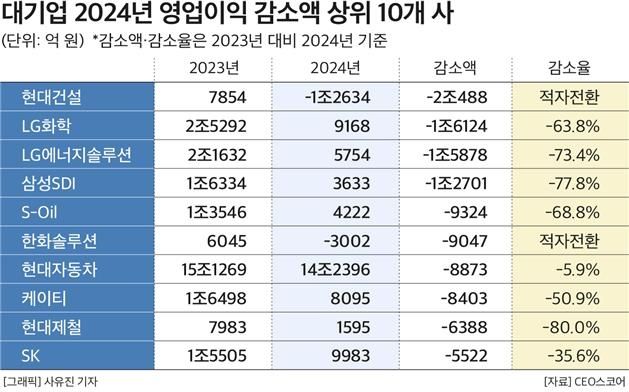 대기업 2024년 영업이익 감소액 상위 10곳