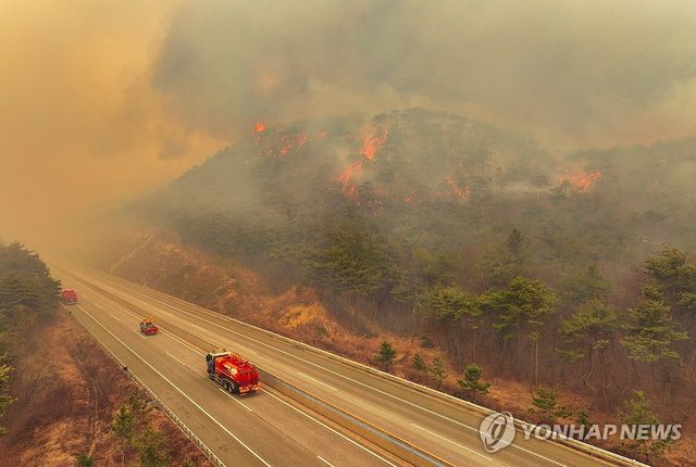 산불로 통제된 고속도로