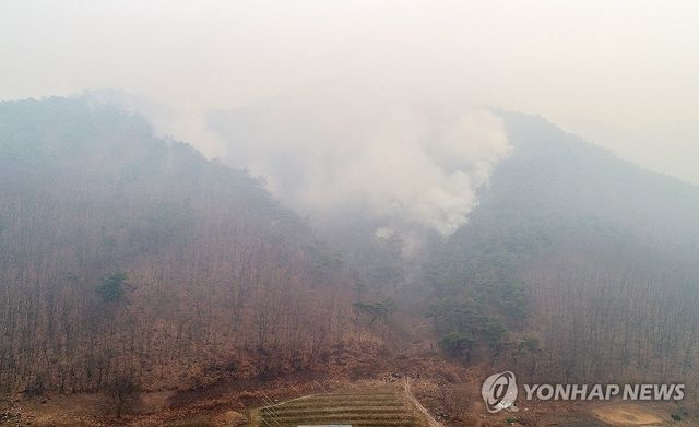 안동으로 번진 산불