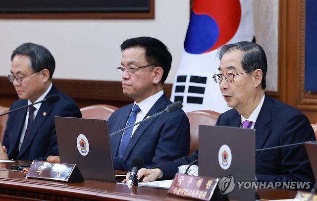 한덕수 권한대행 국무회의 발언