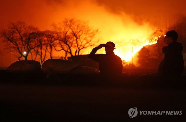 안동 남선면까지 번진 산불