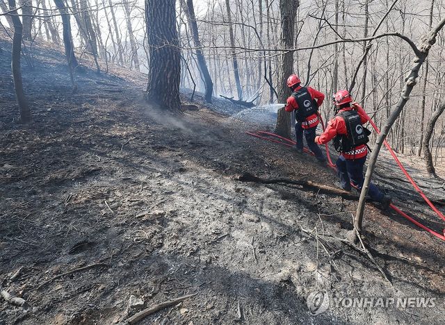 사흘째 계속되는 울주군 산불 진화