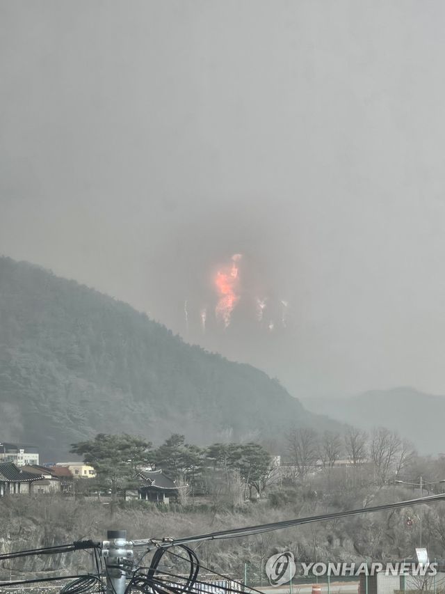 청송 주왕산 근처까지 번진 산불