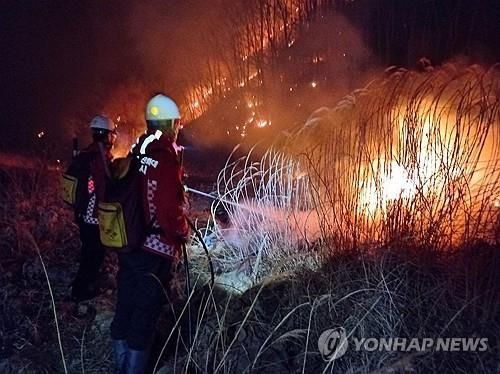 안동 길안면 산불 진화