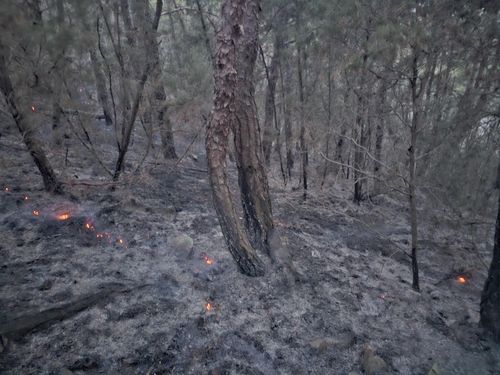 지난 23일 주불 진화된 영동 산불 현장
