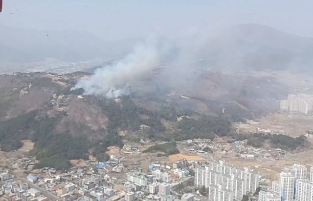 언양 산불 현장