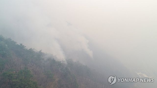 안동으로 번진 산불