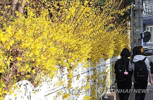 [연합뉴스 자료사진]