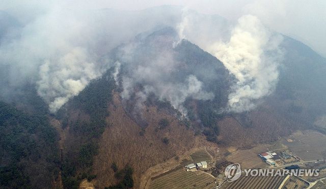 안동으로 번진 산불