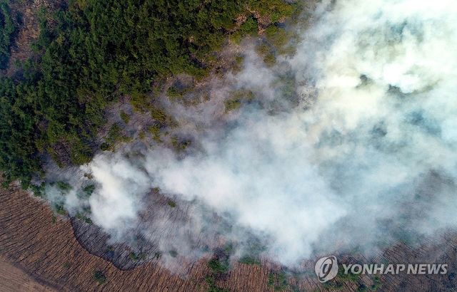 안동으로 번진 산불