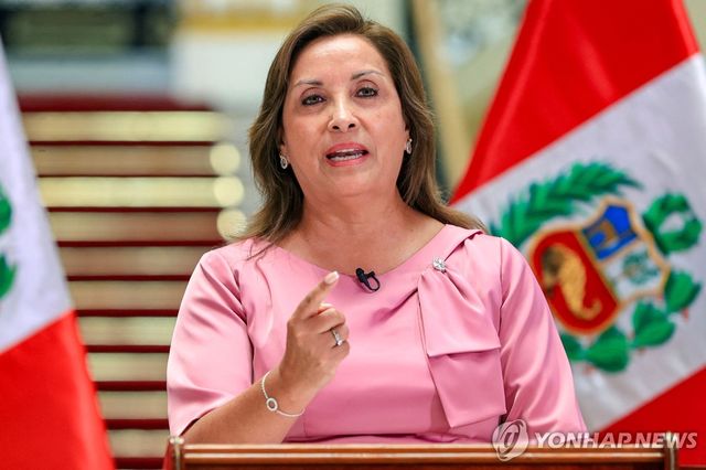 25일(현지시간) 대국민 연설하는 페루 대통령