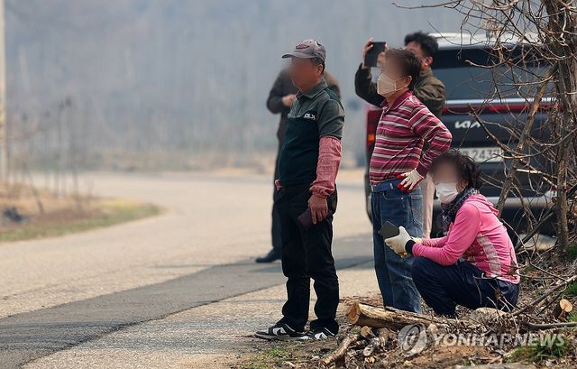 그저 바라만 볼 뿐