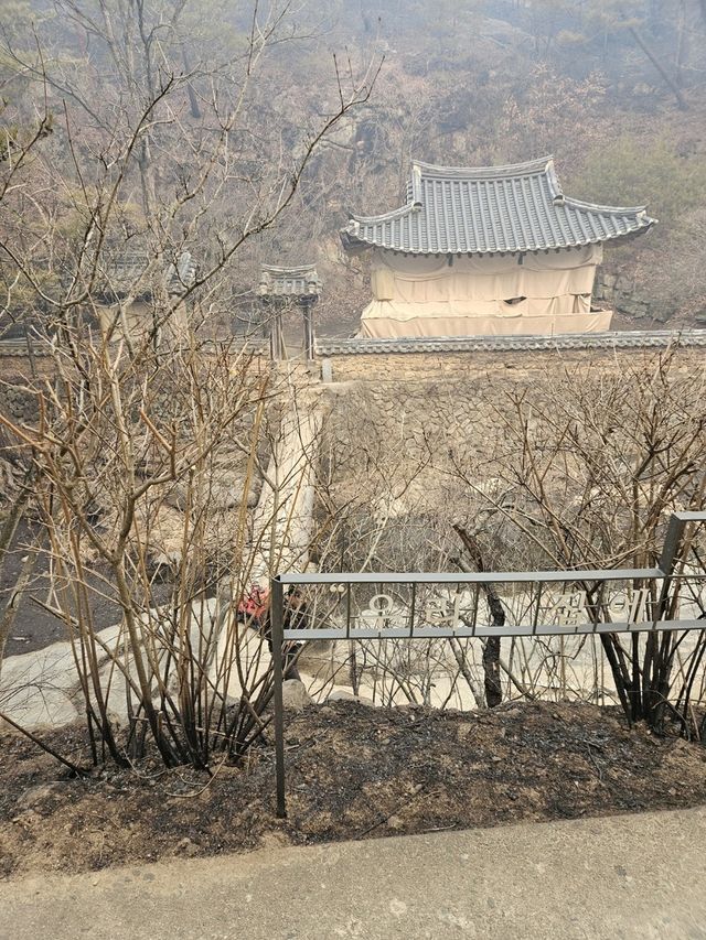 경상북도 문화유산자료인 안동 만휴정 모습 