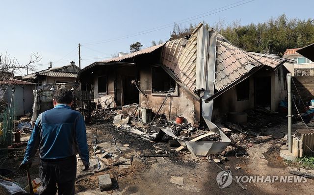 산불이 지나간 자리