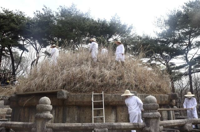 지난해 청완 예초의 모습 