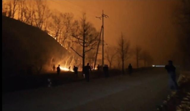 교도관들이 경북북부제2교도소 인근에서 산불을 진화하는 모습