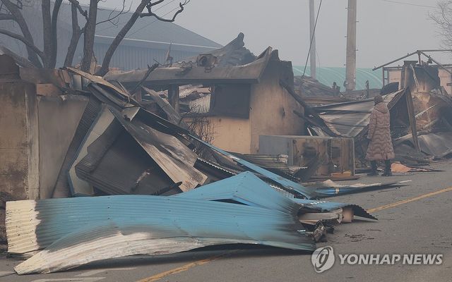 산불 폐허 살펴보는 주민