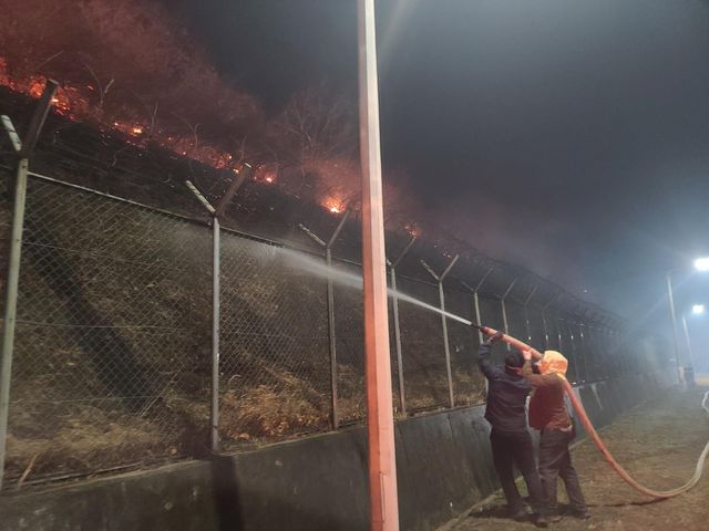 교도관들이 경북북부제2교도소 인근에서 산불을 진화하는 모습