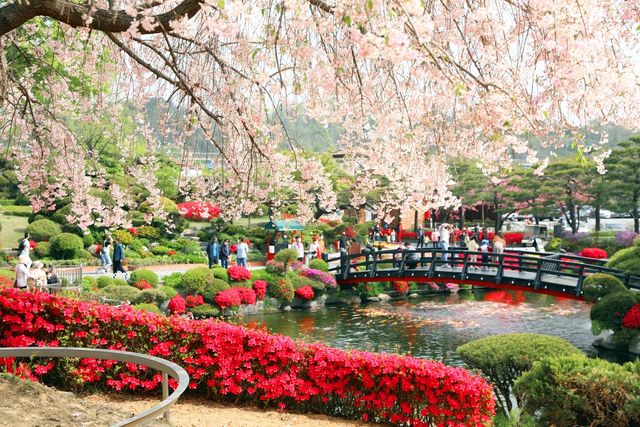 세종 베어트리파크 봄꽃 축제