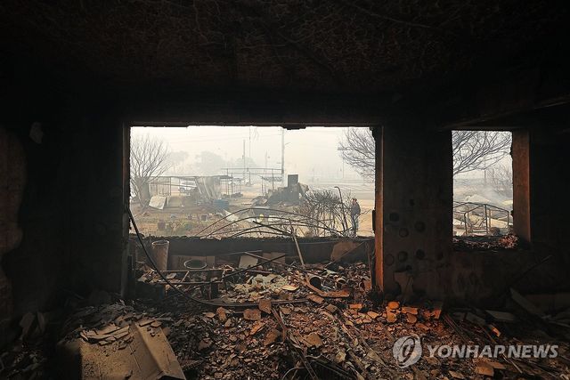 화마가 휩쓸고 간 자리