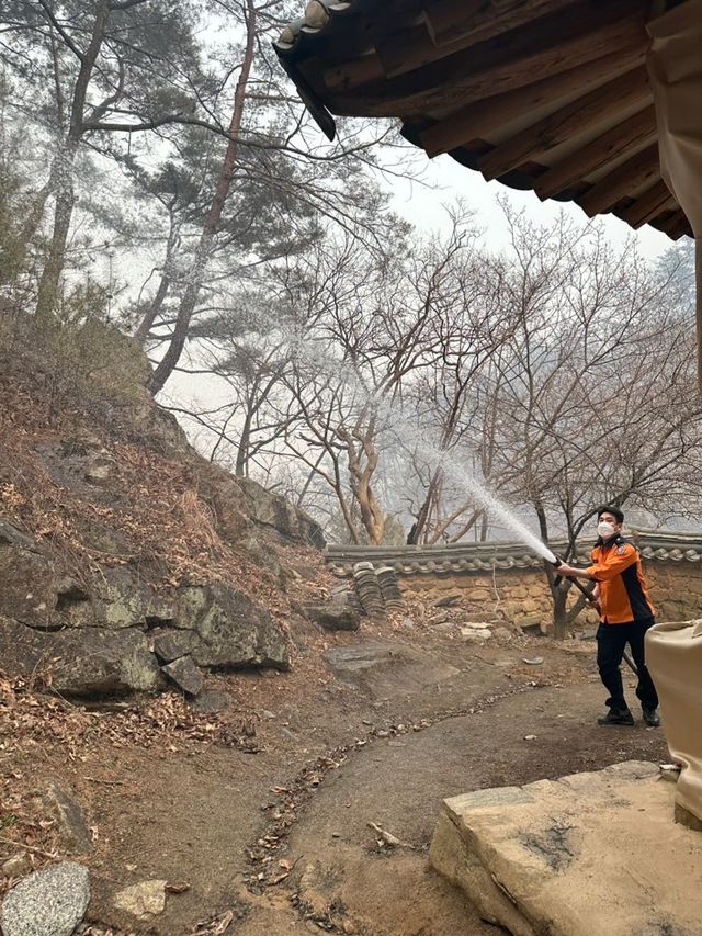 안동 만휴정 일대에 물을 뿌리는 모습 