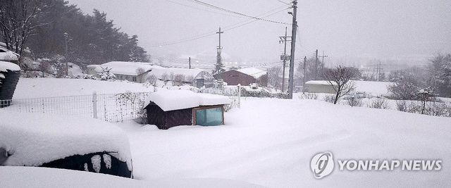 폭설에 또 폭설 내린 횡성 안흥