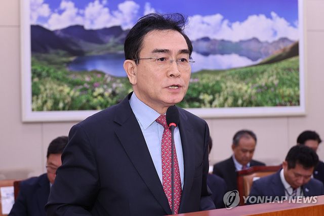 답변하는 태영호 민주평통 사무처장