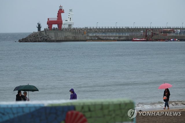 비 내리는 제주