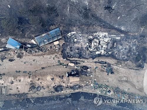 산불이 지나간 자리