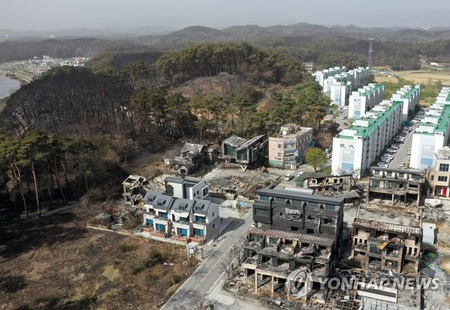 아파트 단지까지 위협했던 2023년 강릉 산불