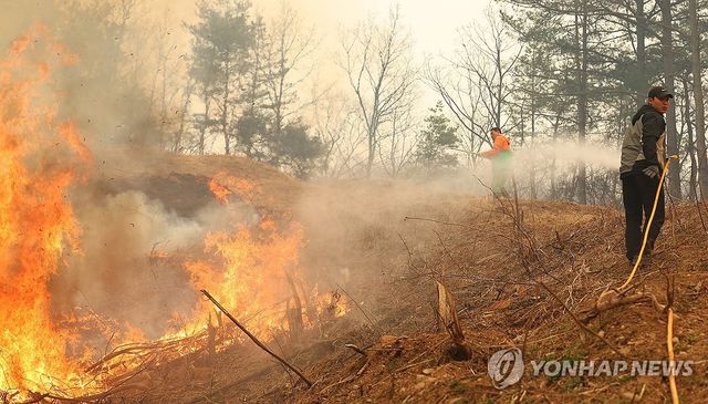 산불 진화작업 벌이는 의용 소방대원
