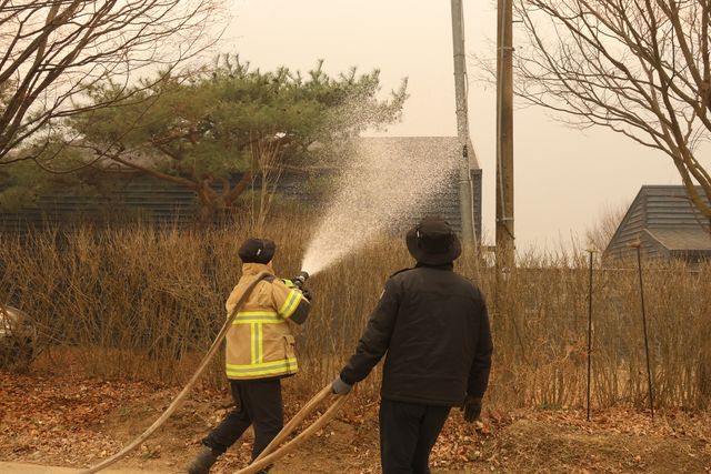 병산서원 주변 주택가에 물 살포