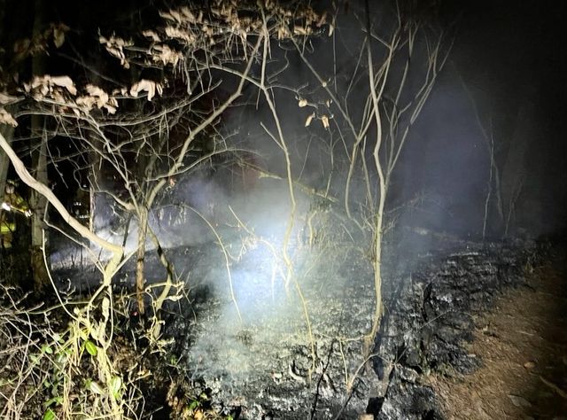 광주 제석산 구름다리 인근 산불