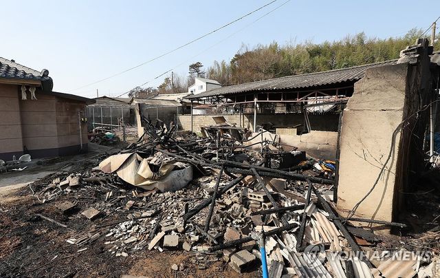 산불로 타버린 주택