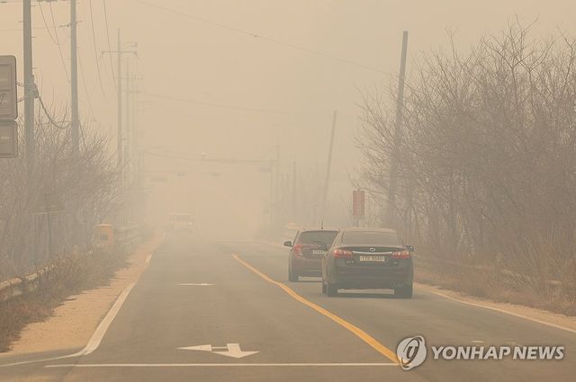 연무에 갇힌 안동