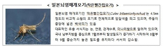 [질병관리청 제공]