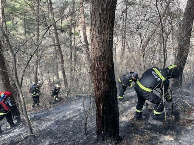 26알 지리산국립공원 직원의 잔불 진화 모습
