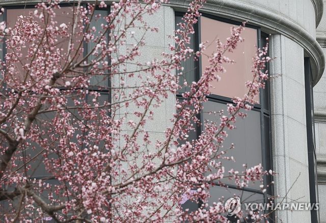 꽃망울 터트리는 봄