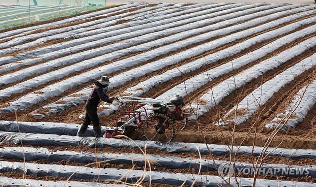 비는 안 내려도…농사 준비로 바쁜 들녘