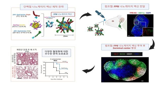 단백질 나노케이지 백신 제작 전략