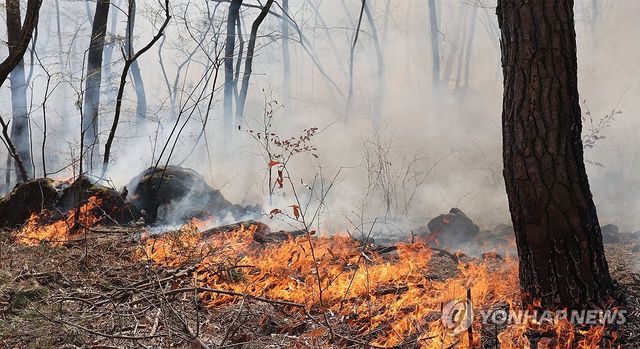 산림 태우는 불길