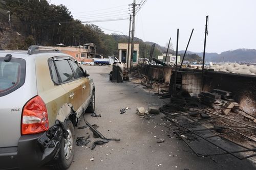 영덕군 축산면 경정3리 피해 현장
