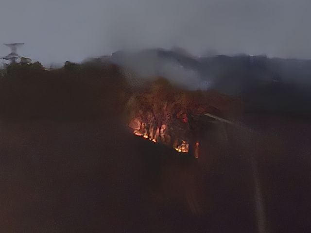 파주 조리읍 산불