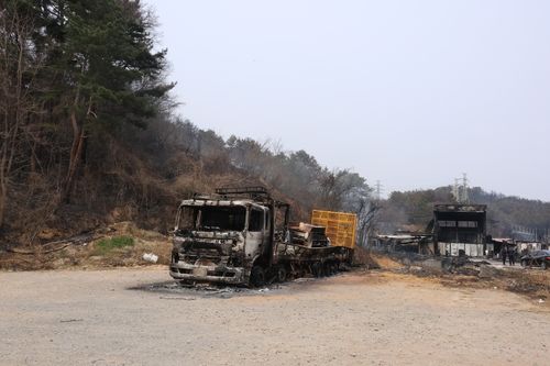 영덕군 영덕읍 피해 현장