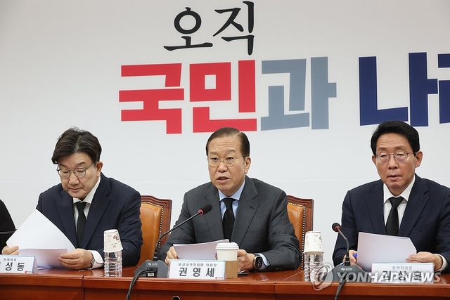 발언하는 권영세 비상대책위원장