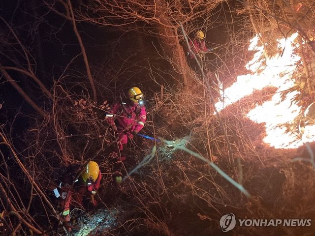 산불 진화 *기사와 관련이 없는 자료사진입니다.