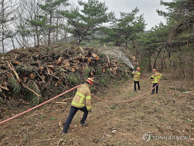 안동 병산서원 산불 방어선 구축하는 소방관들
