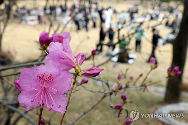 봄 맞은 캠퍼스